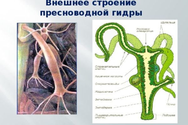 Как зайти на кракен через браузер