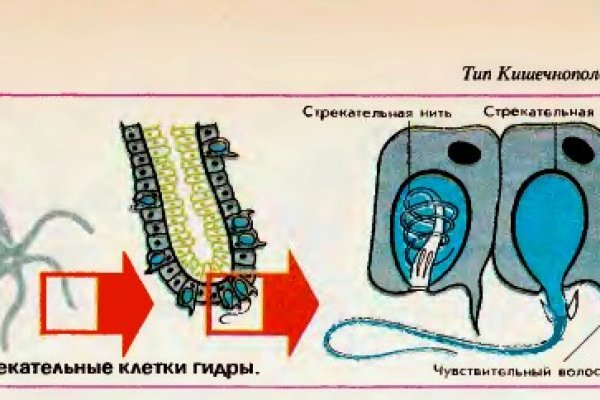 Кракен официальная ссылка